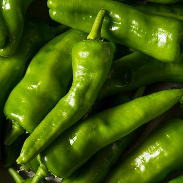 Melrose Hot Pepper Seeds - The Pepper Pantry (Formerly Marie Sharp's)